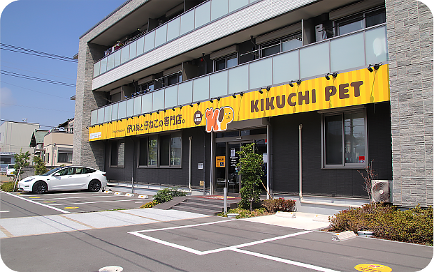 キクチペット 湘南本店